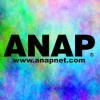 ANAP HOLIK C[W